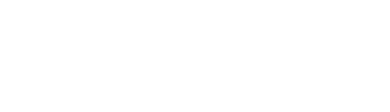 Federal Internship for Newcomers