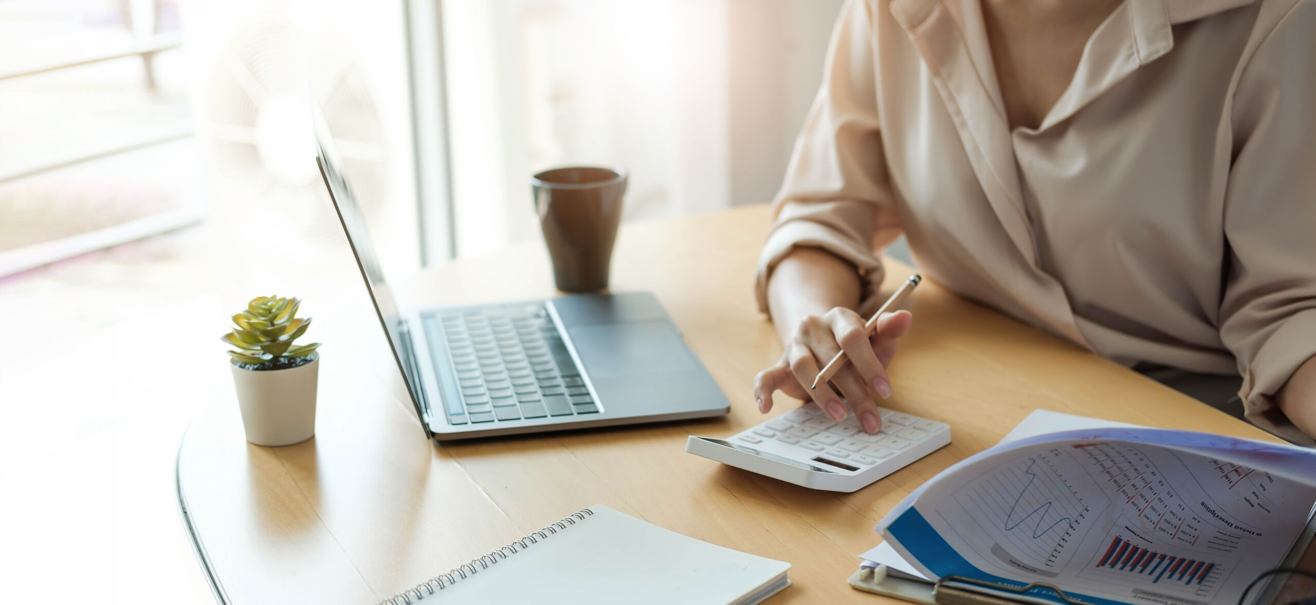 Exploring the Accountant Profession in Ontario - Job Skills