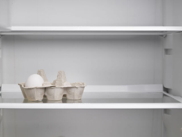 empty fridge